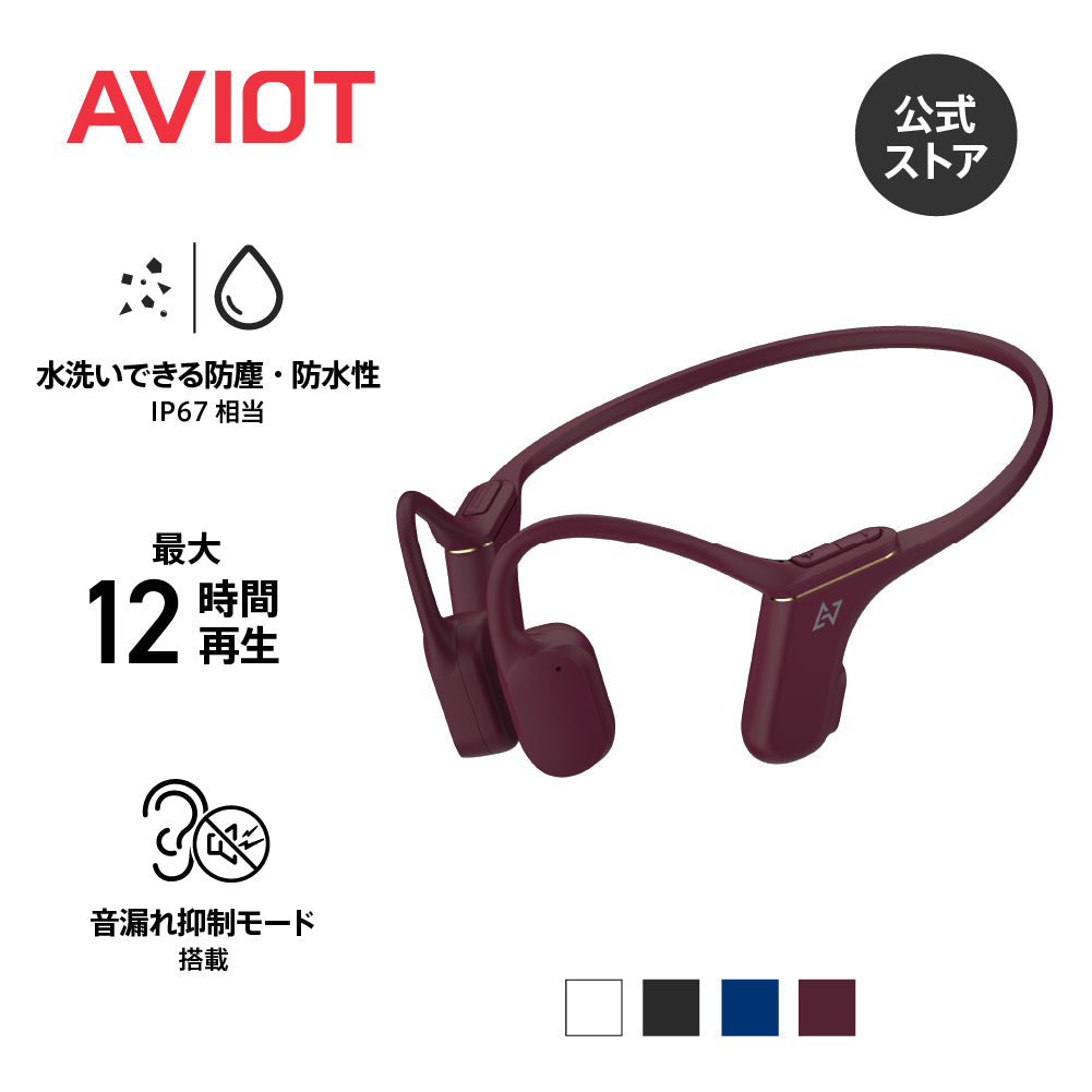 AVIOT WB-P1
